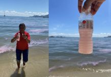 இளம்சிவப்பாக மாறிய பினாங்கு கடல் நீர்