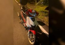 சாலையின் குறுக்கே வந்த நாயால் மோட்டார் சைக்கிளிலிருந்து தவறி விழுந்து 6 மாத கர்ப்பிணி மரணம்