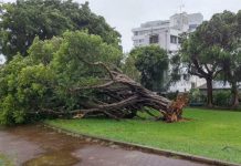 ஜப்பானை புரட்டிப்போட்ட கானுன் சூறாவளி: ஒக்கினாவாவில் 2 இலட்சம் வீடுகளில் மின்தடை