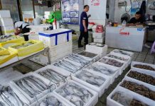 கடலுணவுக்கு விதிக்கப்பட்ட தடையை விலக்க உலக வர்த்தக அமைப்பின் உதவியை நாடும் ஜப்பான்