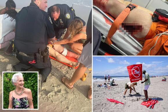 newyork -shark attack