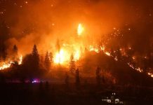 8 நாட்கள் போராட்டத்திற்குப் பின் சரவாக்கில் காட்டுத்தீ கட்டுக்குள் வந்தது! 300 ஹெக்டேர் நிலப்பரப்பு பாதிப்பு