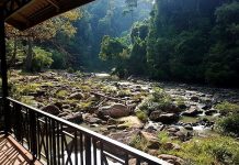 மாரான் அருகே புதிய பூங்கா காடு பகாங் மாநில அரசிதழில் வெளியிடப்படும்