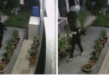 விலையுர்ந்த கைப்பைகளை திருடியதாக லோரி ஓட்டுநர் கைது