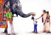 யானையிடம் ஆசீர்வாதம் வாங்குவதில் உள்ள தெய்வீக ரகசியம்