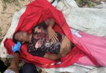 நண்பர்கள் கண்முன்னே ஆடவரை முதலை இழுத்து சென்ற சம்பவம்