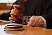 Wanita Dihukum Penjara Kerana Babi