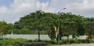 வேலையிட விபத்தில் இந்திய ஊழியர் உயிரிழப்பு; சிங்கப்பூரில் சம்பவம்