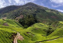 Warga India hilang daki gunung di Cameron Highlands