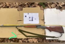 மங்குஸ்தின் மரத்தில் குரங்கு ஏறுவதாக நினைத்து நண்பனை சுட்ட ஆடவர் கைது