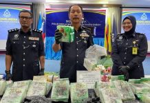 கோத்தா கினாபாலு விமான நிலையம் அருகே RM3 மில்லியன் மதிப்புள்ள சியாபு பறிமுதல்; சகோதரர்கள் இருவர் கைது