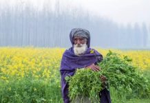 இந்தியா – கனடா முரண்பாடு; பஞ்சாப்பில் பாதிப்பை ஏற்படுத்தும் என அச்சம்