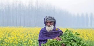 இந்தியா – கனடா முரண்பாடு; பஞ்சாப்பில் பாதிப்பை ஏற்படுத்தும் என அச்சம்