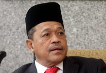 நாடாளுமன்றத்தில் மலாய்க்காரர் அல்லாத பிரதிநிதித்துவம் அதிகரிக்க வேண்டும் -பெரிக்காத்தான் எம்.பி