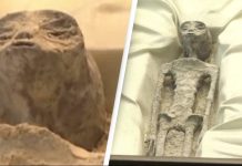 1,000 ஆண்டுகள் பழமையான 2 வேற்றுகிரகவாசிகளின் மம்மி உடல்கள் கண்டெடுப்பு