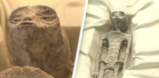 1,000 ஆண்டுகள் பழமையான 2 வேற்றுகிரகவாசிகளின் மம்மி உடல்கள் கண்டெடுப்பு