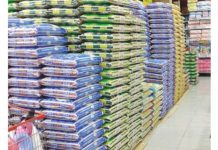 உள்ளூர் அரிசியில் பிளாஸ்டிக் அரிசி கலக்கப்படுவதாக கூறுவதை பெர்னாஸ் மறுக்கிறது