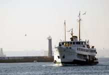 UAE -இந்தியா இடையே பயணிகள் கப்பல் போக்குவரத்து ஆரம்பிக்க முயற்சி