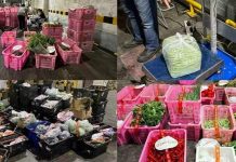 மலேசியாவிலிருந்து சட்டவிரோதமாக இறக்குமதி செய்யப்பட்ட 1.6 டன்னுக்கும் அதிக காய்கறிகள் சிங்கப்பூரில் பறிமுதல்