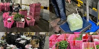 மலேசியாவிலிருந்து சட்டவிரோதமாக இறக்குமதி செய்யப்பட்ட 1.6 டன்னுக்கும் அதிக காய்கறிகள் சிங்கப்பூரில் பறிமுதல்