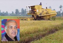 இறக்குமதி செய்யப்படும் வெள்ளை அரசியின் விலை உயர்வு