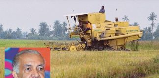 இறக்குமதி செய்யப்படும் வெள்ளை அரசியின் விலை உயர்வு