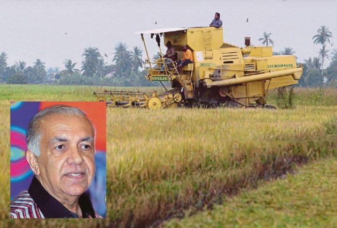 white rice price