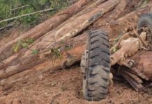 20 மீட்டர் பள்ளத்தில் விழுந்த லோரி: ஓட்டுநர் பலி