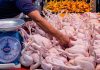 Kawalan harga, subsidi ayam tamat 1 Nov
