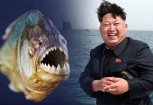 “கடுங்கோபம்..” ராணுவ தளபதியை பிரானா மீன்களுக்கு விருந்தாக்கிய வடகொரிய அதிபர்