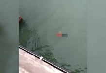Remaja terjun Jambatan Pulau Pinang