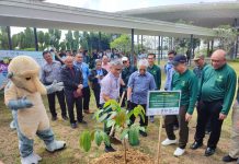 2025-க்குள் 35 மில்லியன் மரங்களை நடும் இலக்கை சரவாக் எட்டுகிறது
