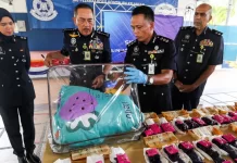 Sorok pil kuda, heroin RM1.5 juta dalam ‘Toto’