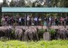 Agong, Putera Monaco lawat pusat konservasi Harimau Malaya, gajah