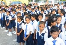 Sekolah vernakular guna bahasa Tamil, Mandarin sah di sisi Perlembagaan, kata mahkamah