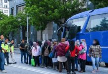 புத்ராஜெயாவில் நடத்தப்பட்ட சோதனையில் ஆவணமற்ற 377 வெளிநாட்டவர்கள் கைது