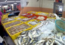 நாட்டில் அருகிவரும் மீன் வகைகள்- வெளியான அதிர்ச்சி தகவல்