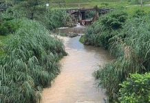 Pencemaran bau seakan diesel di Sungai Sembah