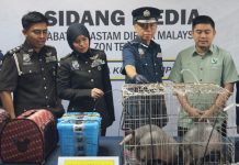 கோலாலம்பூர் அனைத்துலக விமான நிலையத்தில் அழுங்குகளை கடத்த முயன்ற இந்திய நாட்டு ஆடவர் கைது