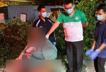 200 கிலோ எடையுள்ள ஆடவரை காப்பாற்றி மருத்துவமனையில் சேர்த்த தீயணைப்பு வீரர்கள்