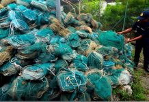 கெடா கடற்பரப்பில் 670 டிராகன் மீன் பொறிகளை கைப்பற்றிய MMEA