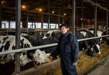 மாட்டுச் சாணம் எரிவாயுவில் இயங்கக்கூடிய ராக்கெட்: ஜப்பான் சாதனை