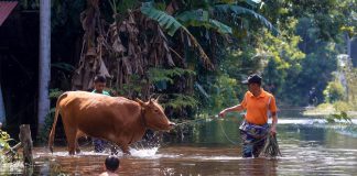 ஜோகூரில் வெள்ளத்தால் வாழ்விடங்களிலிருந்து வெளியேற்றப்பட்டவர்களின் எண்ணிக்கை 1,153 பேராக குறைந்தது