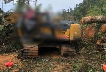 எக்ஸ்காவேட்டர் மீது மரக்கட்டை விழுந்ததில் ஆடவர் மரணம்