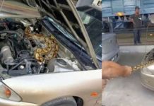 Ular sawa seberat 20kg dalam bonet