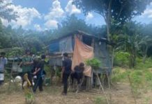 யானை தாக்கி முதியவர் மரணம்: அவரின் மனைவி படுகாயம்