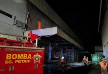 தீயில் அழிந்த வெர்மிசெல்லி தொழிற்சாலை