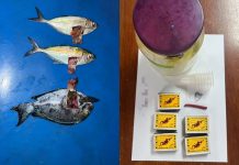 பூலாவ் செபாங்கார் கடல் பகுதியில் குண்டு வைத்து, ஈட்டி மூலம் மீன்பிடித்த குற்றச்சாட்டில் இருவர் கைது