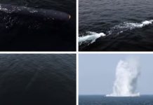 நீருக்கடியில் அணு ஆயுத சோதனை நடத்திய வடகொரியா