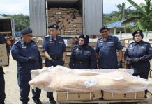 26 இலட்சம் மதிப்புள்ள இறைச்சிகள் பறிமுதல்; சுங்கத்துறை அதிரடி